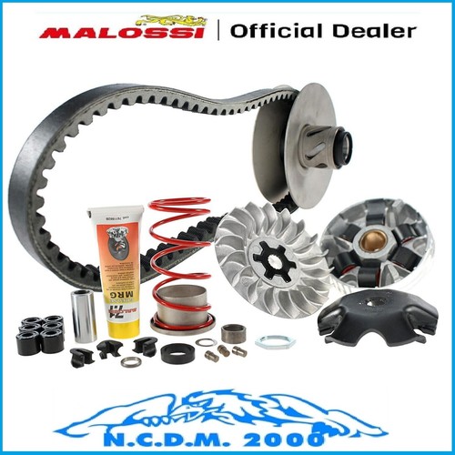 Malossi variator kit over - kit,