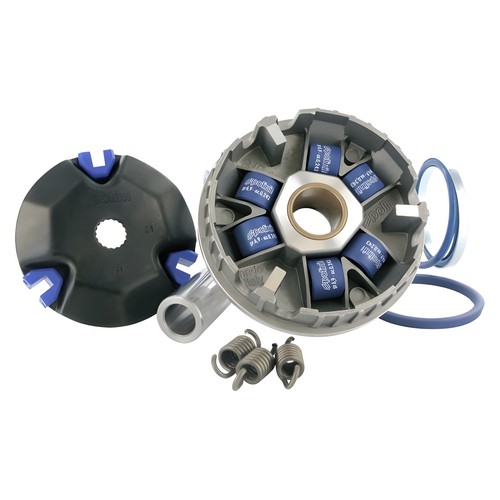 Variomatic variator polini - variomatic,